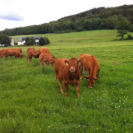 Muellisch's Hof 호텔 3*