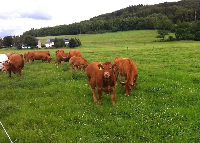 Muellisch's Hof Hotel 3*